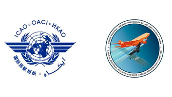 logo6